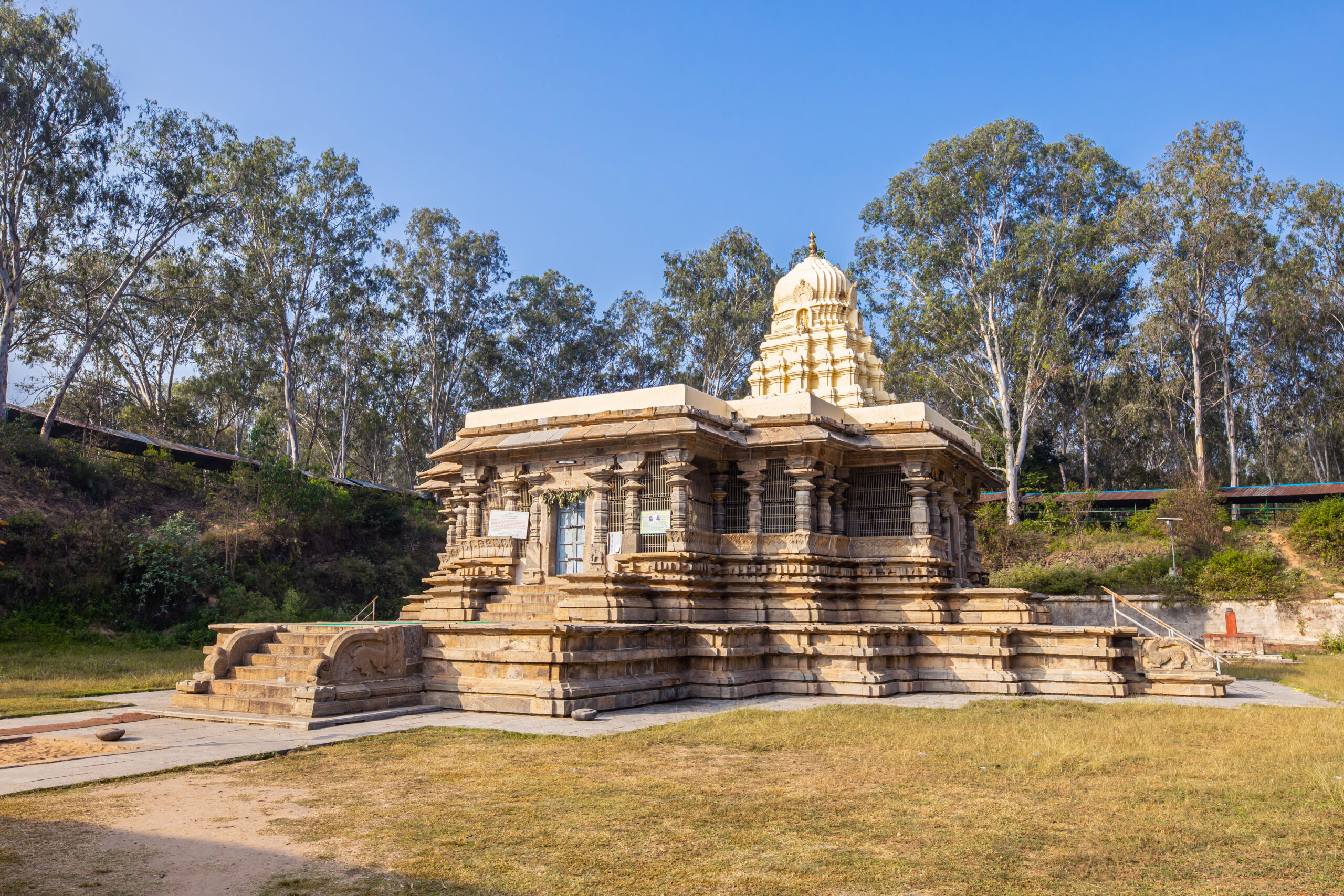 Vaidhyanatheshwaraswamy