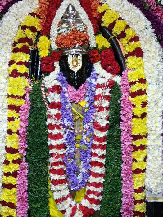 Chunchanakatte Hanumantha Vigraha1