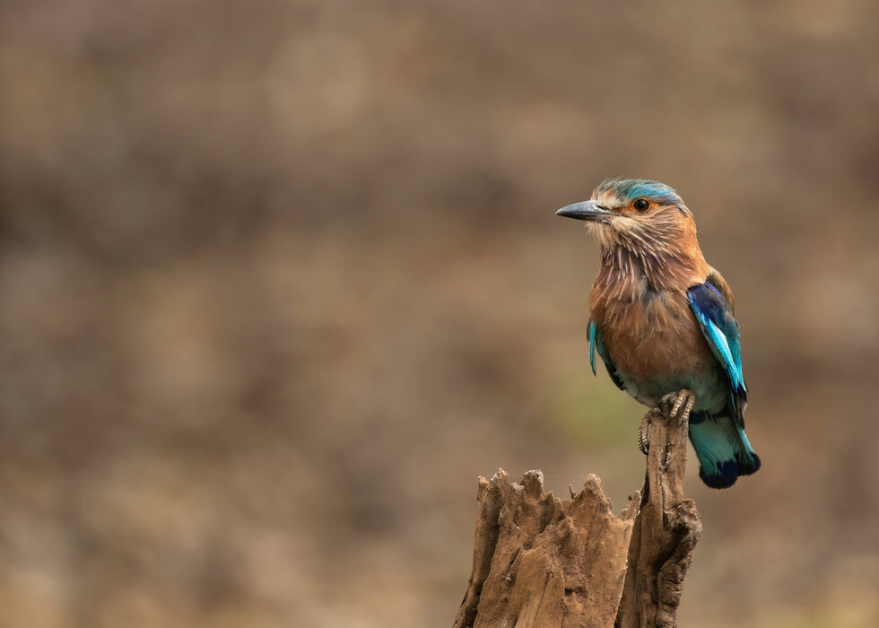 nagaraholenationalpark1