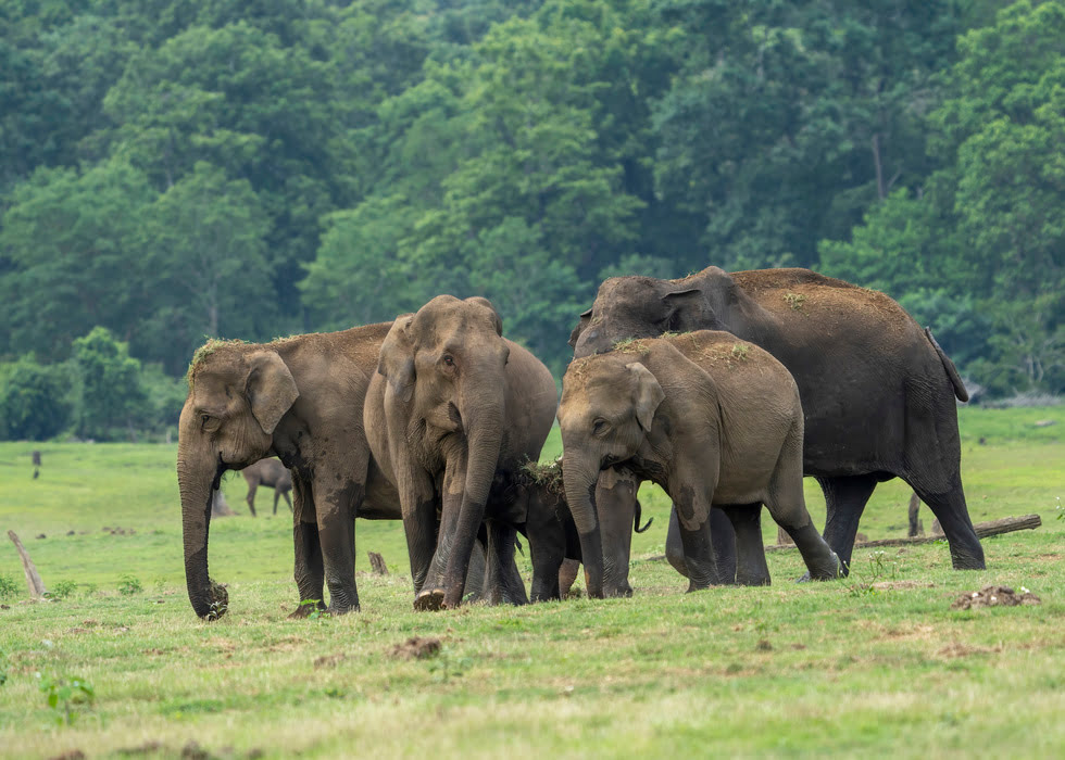 nagaraholenationalpark3
